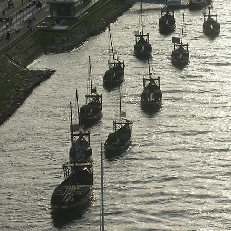 Chique Aliados מלון 2*